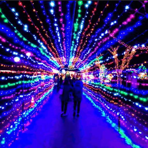 Winter Light Trails Hire