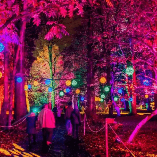 Winter Light Trails Installation