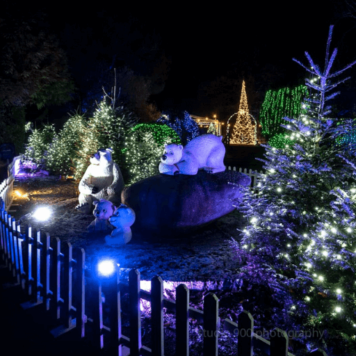 Winter Light Trails Setup